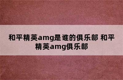 和平精英amg是谁的俱乐部 和平精英amg俱乐部